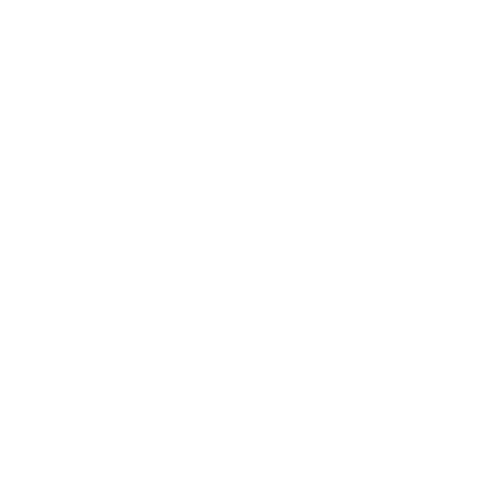 Entreprise du Voyage