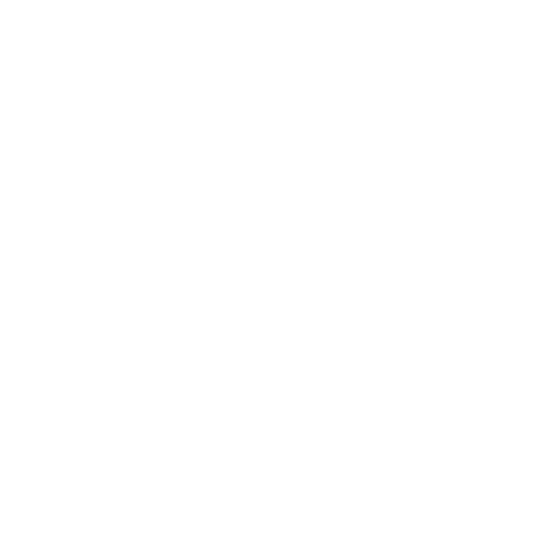 PayZen