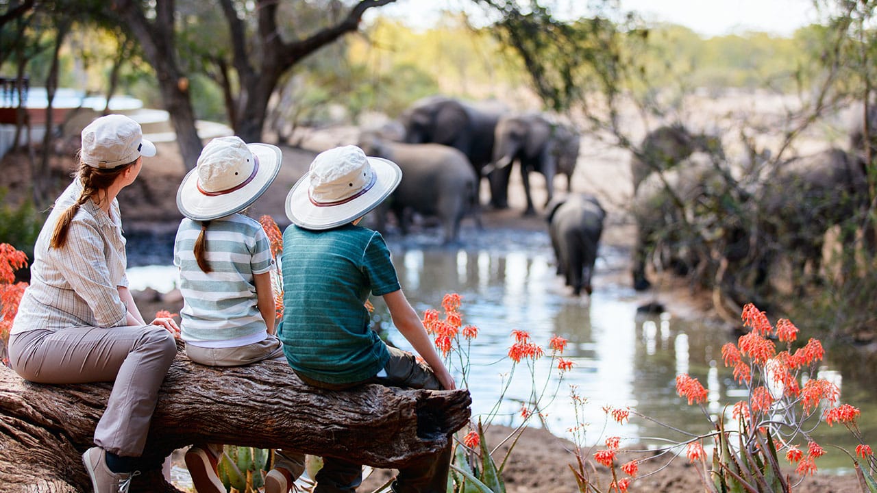 Safari Afrique du Sud en famille