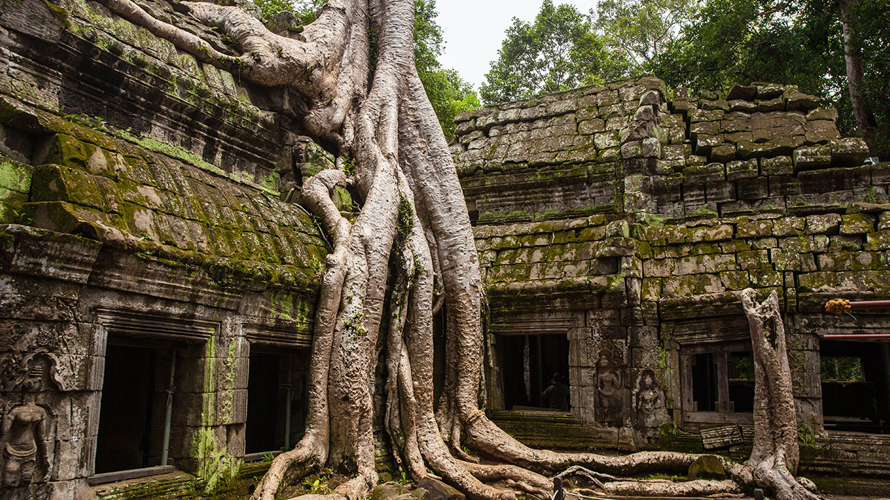 tourisme-temple-ta-prohm-4.jpg