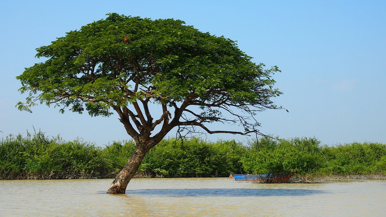 voyage-cambodge-lac-tonle-sap-3.jpg