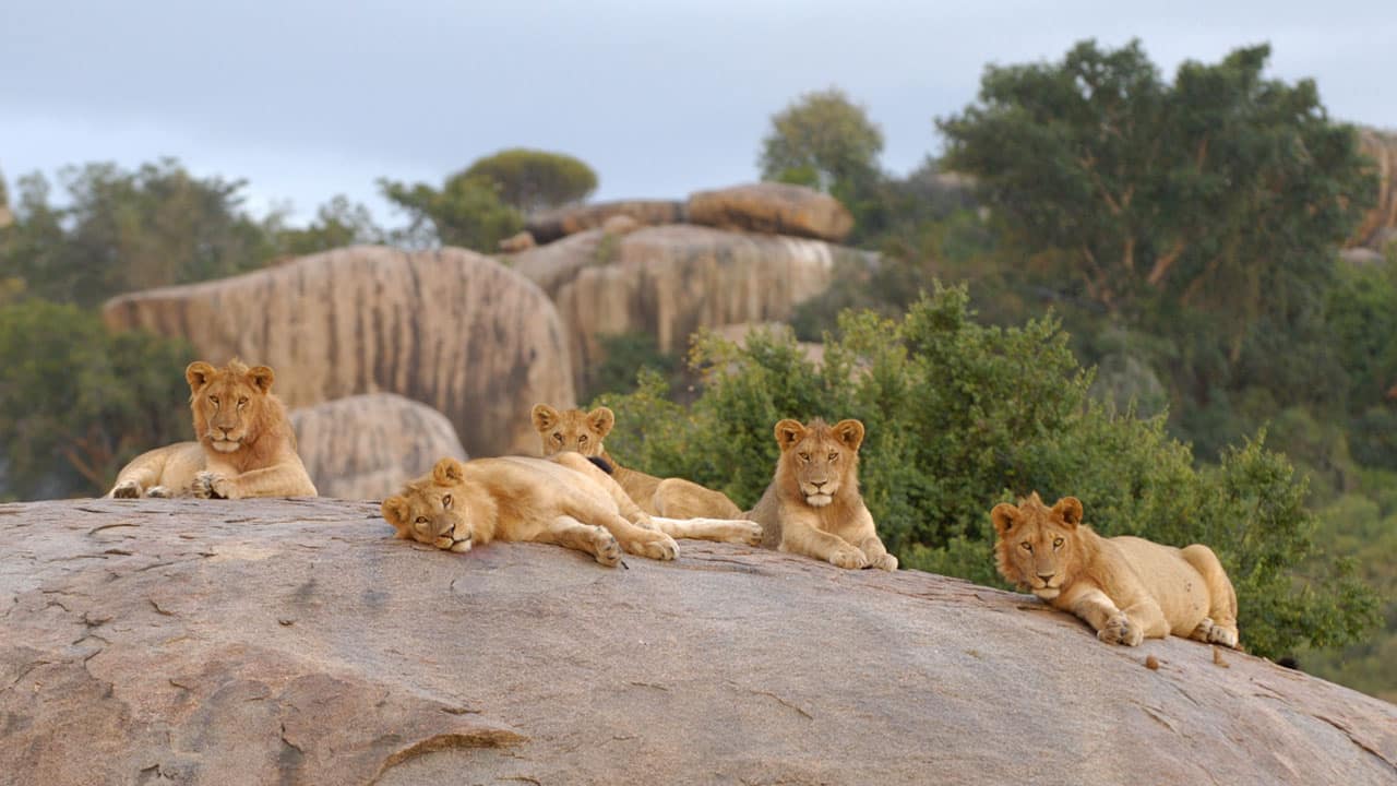 voyage tanzanie enfant