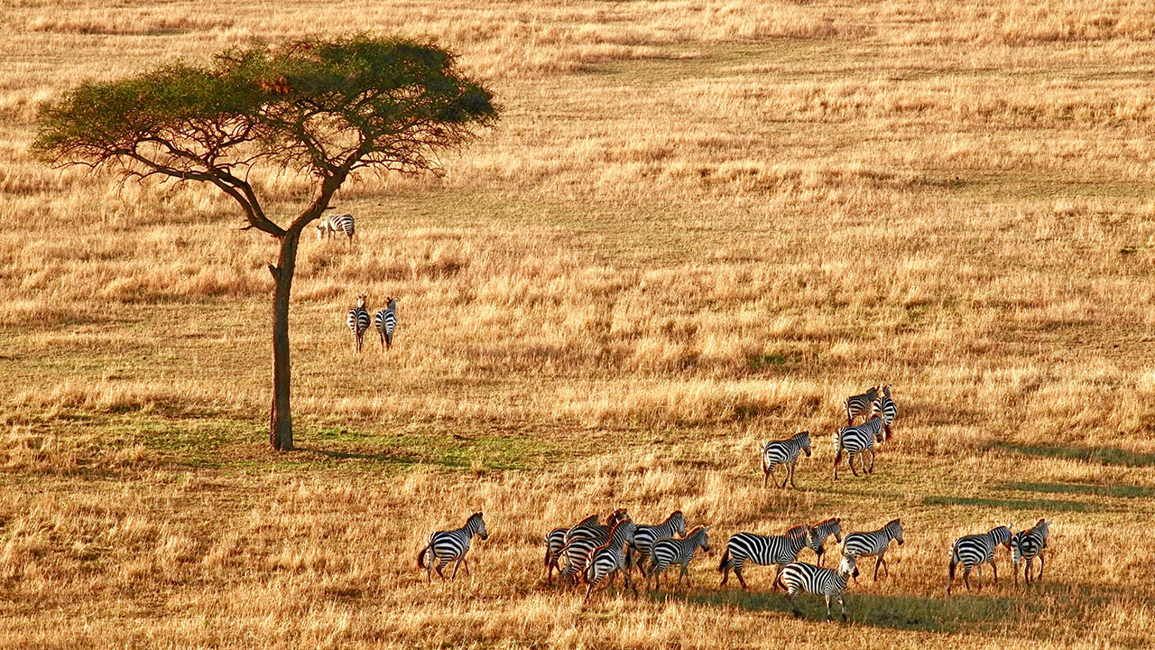 voyage-tanzanie-famille-1.jpg