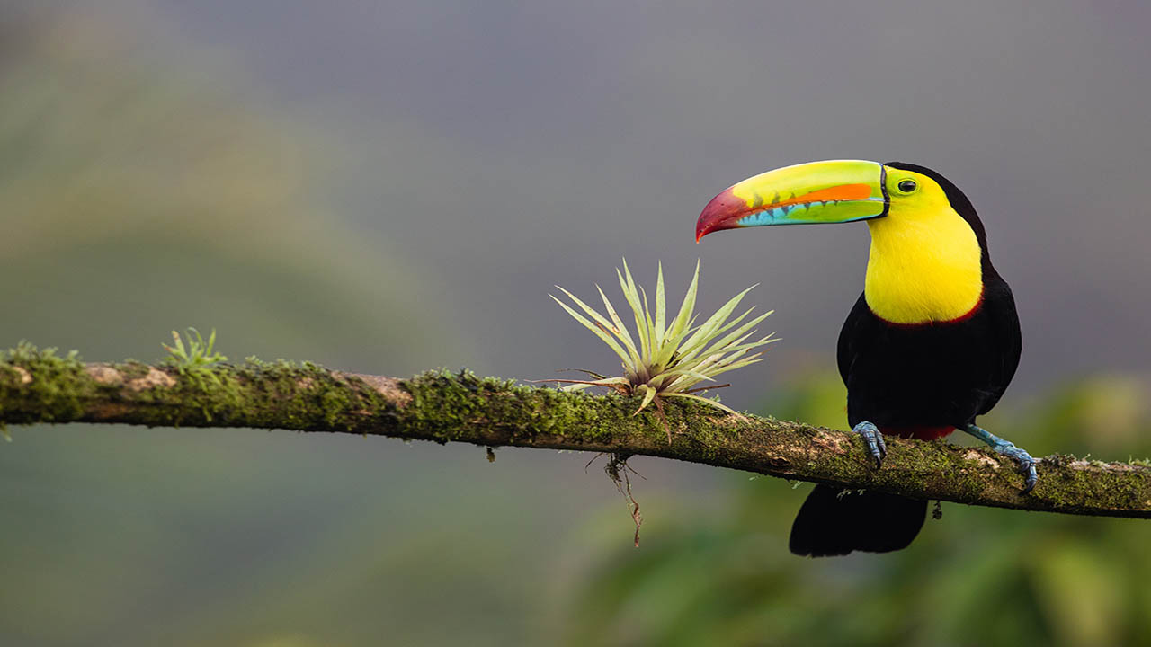 visiter le Costa Rica avec des enfants