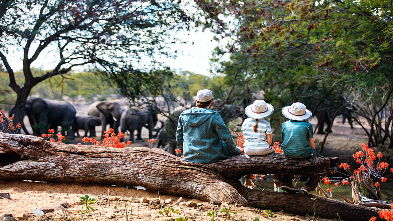 Afrique du Sud en famille