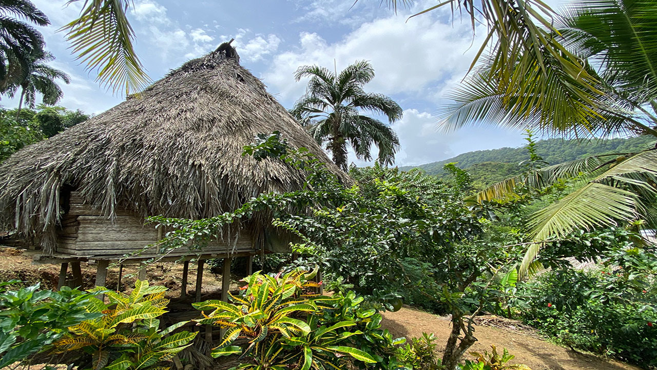 EMBERA-MAISON.jpg