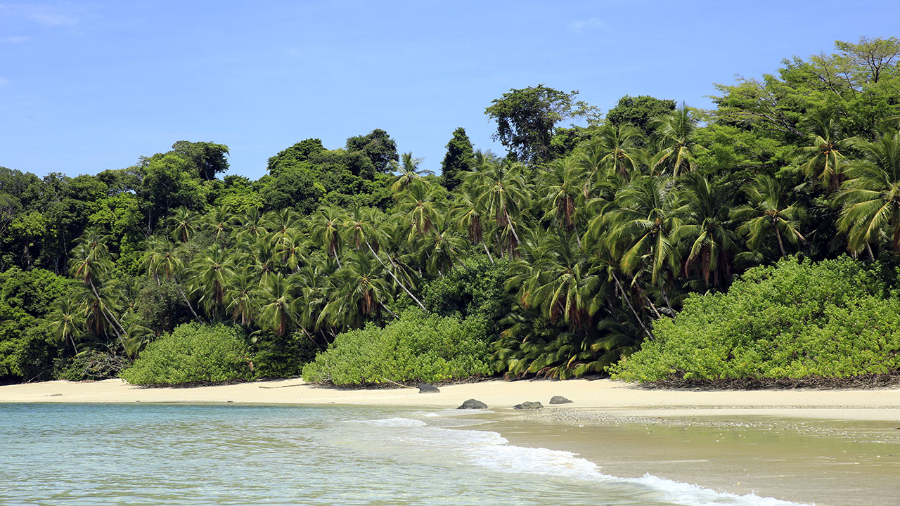 PLAGE-PANAMA.jpg