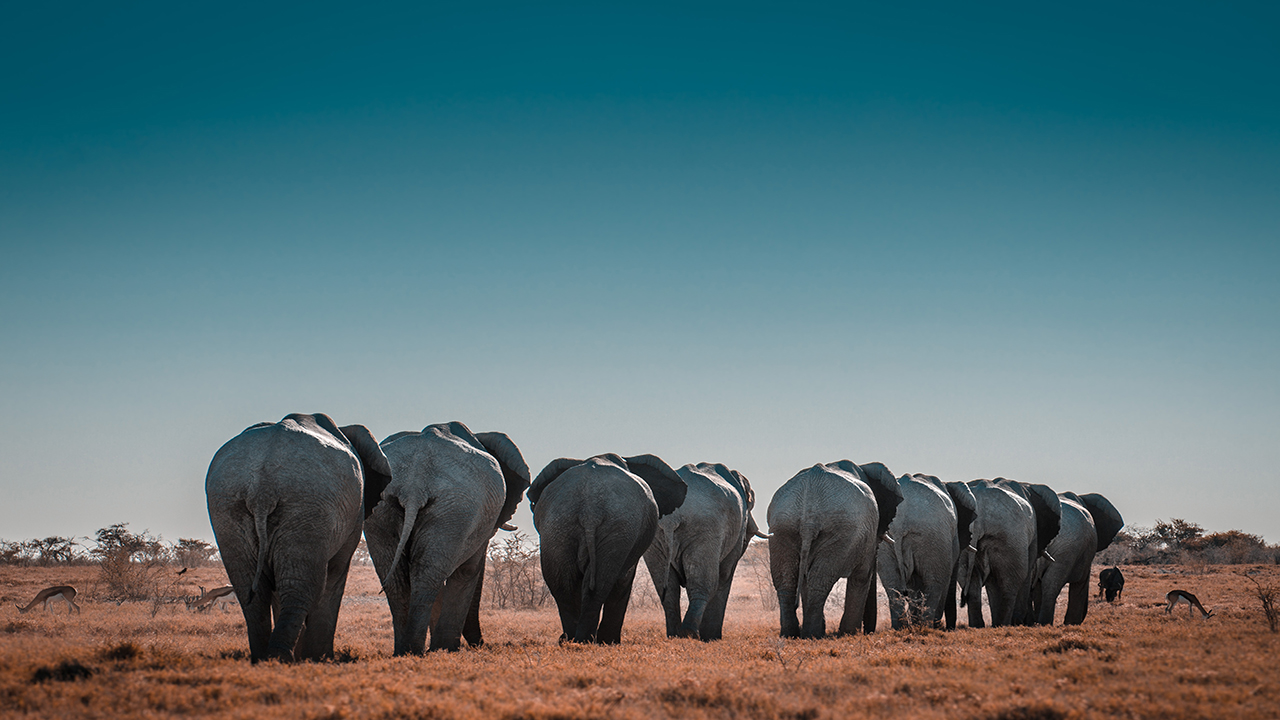 namibie-en-famille-1.jpg