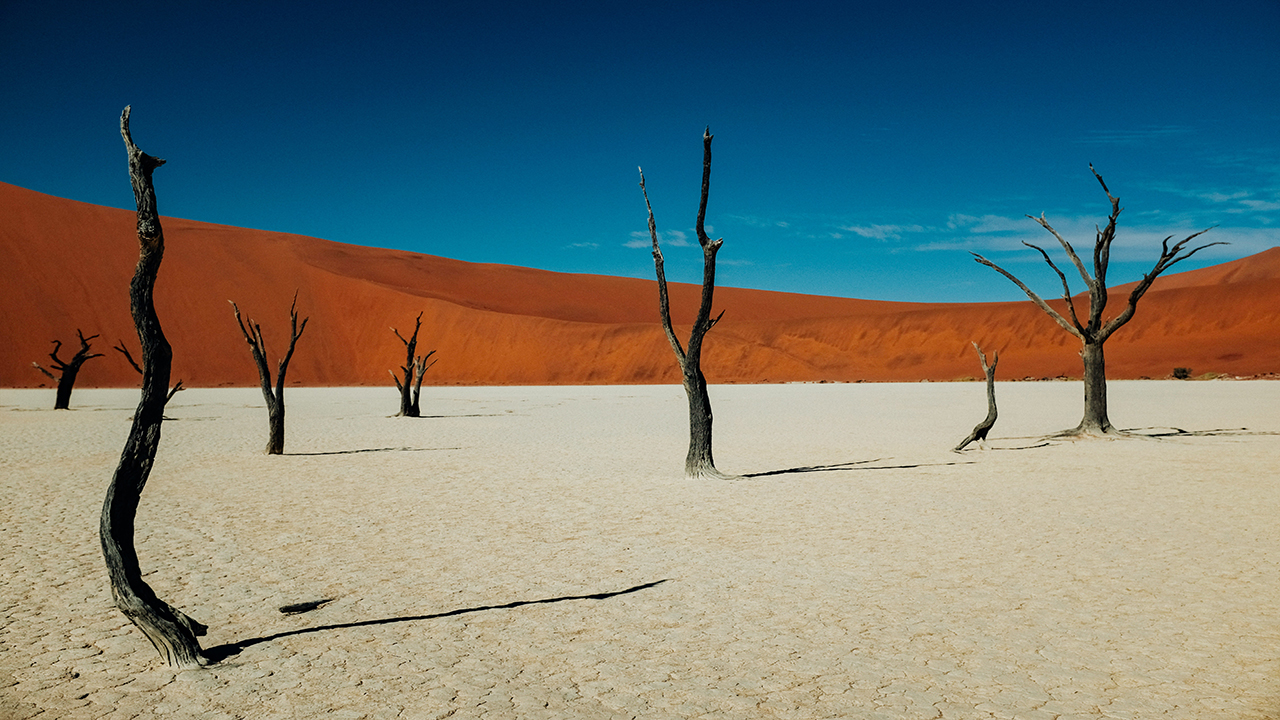 voyage Namibie en famille