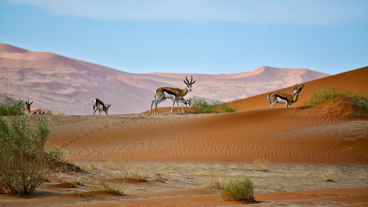 voyage-namibie-en-famille-8.jpg