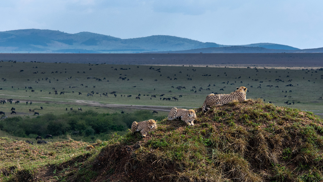 Kenya