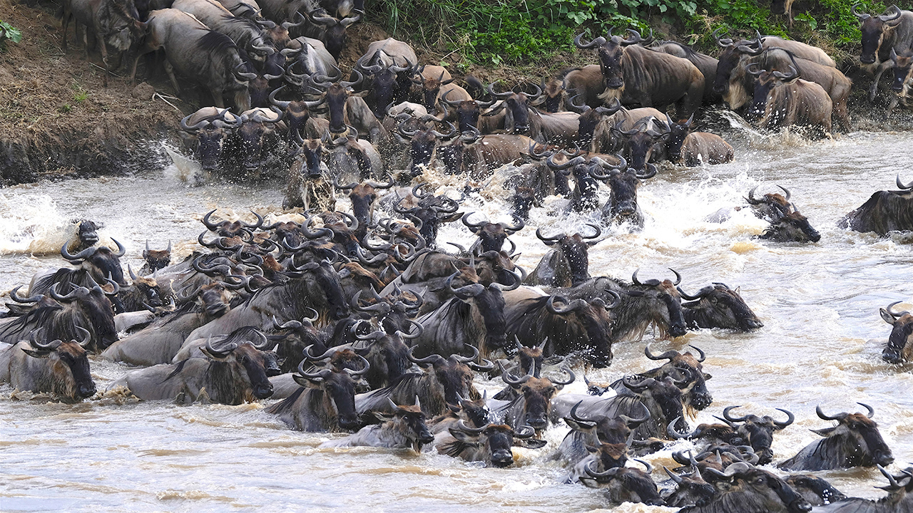 VOYAGE EN FAMILLE EN TANZANIE